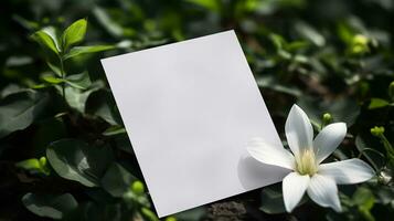 Blank postcard mockup photo