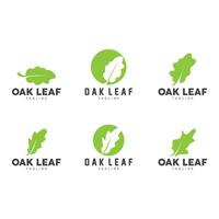 Oak Leaf Logo Design, Simple Green Plant Vector, Template Illustration vector