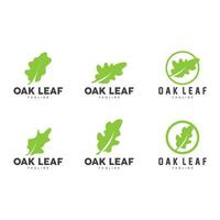 Oak Leaf Logo Design, Simple Green Plant Vector, Template Illustration vector