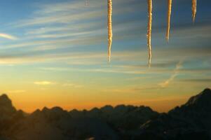 icicles hanging from a tree in the sky photo