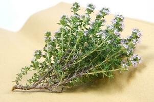 a bunch of herbs on a piece of paper photo