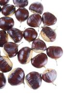 a group of chestnuts on a white background photo