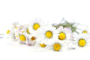 un manojo de blanco flores en un amarillo antecedentes foto