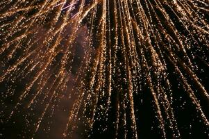 fireworks in the night sky photo