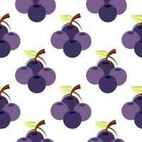 seamless pattern of grapes vector