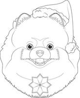 Christmas greeting card for coloring. Pomeranian dog with Santa's hat and a Christmas ornament vector
