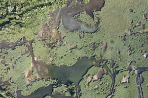 Particular aerial view of the lake of Porta Tuscany Italy photo