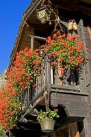 a wooden fence with flowers hanging from it photo