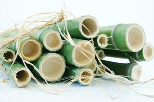 a bunch of bamboo sticks tied together with twine photo