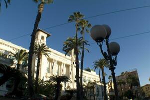 a street light with palm trees in front of it photo