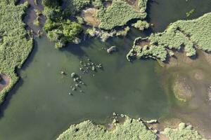 Particular aerial view of the lake of Porta Tuscany Italy photo