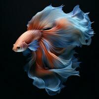 Betta fish, Colorful fighting Siamese fish with beautiful tail. AI Generative photo