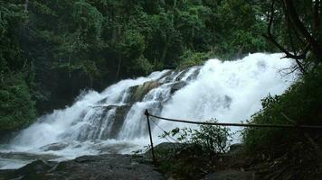 mooi waterval in de regenwoud met Doorzichtig water. stroom rennen snel in de groen Woud in de regenachtig seizoen. rustig en vredig landschap van natuur video