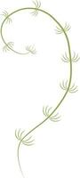 Vector illustration of green seaweed laminaria in cartoon style. Digital green lichen clipart. Green algae shrub