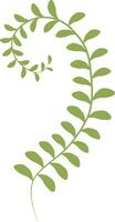 Vector illustration of green seaweed laminaria in cartoon style. Digital green lichen clipart. Green algae shrub