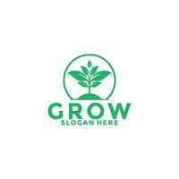 Green Seed logo type vector, Grow logo design template vector