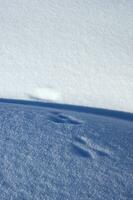 un cerca arriba de nieve que cae desde el cielo foto