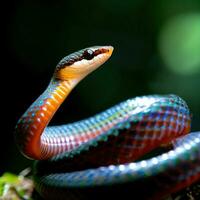 he striking colors of a blue coral snake create a captivating sight ,AI Generated photo