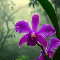 The micro world of a bearded iris exposes its exquisite textures and colors ,AI Generated photo