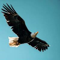 The eagle embraces the wind, soaring high above the world below ,AI Generated photo