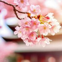 Cereza flores danza en el sucursales, creando un poético espectáculo ,ai generado foto