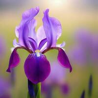 A mesmerizing macro shot captures the essence of the bearded iris flower ,AI Generated photo