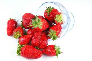 a glass bowl filled with strawberries photo