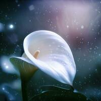 A bouquet of calla lilies creates a mesmerizing display of purity ,AI Generated photo