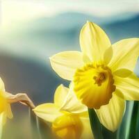 Jonquils sway gently in the breeze, whispering the promise of renewal ,AI Generated photo