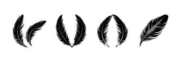 Bird Feather vector silhouettes design.