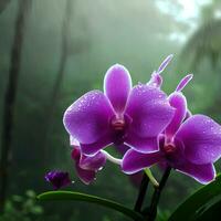 The moth orchid exudes elegance and grace, even on a misty day ,AI Generated photo