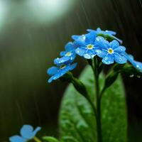 A macro view of the forget-me-not reveals its delicate beauty in intricate detail ,AI Generated photo