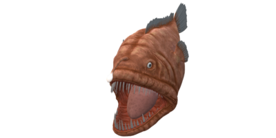 Angler Fish isolated on a Transparent Background png