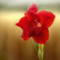 un rojo flor con agua gotas en eso ,ai generado foto