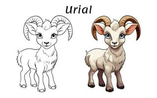 Urial cute animal coloring book illustration vector