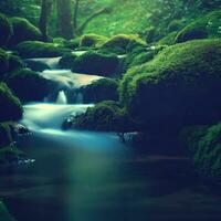 corriente en bosque, pequeño río en el bosque, árbol planta y musgo ,ai generado foto