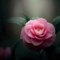 A Japanese camellia shows off its abundance of stunning flowers ,AI Generated photo