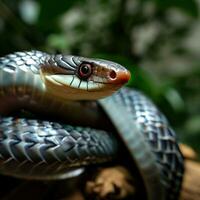 The striking blue hues of a Malabar Pit Viper, camouflaging amidst the foliage ,AI Generated photo