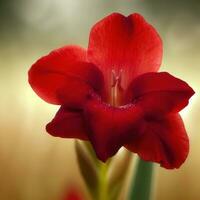 delicado un rojo flor Mañana prado ,ai generado foto