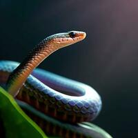 An up-close shot of the Malabar Pit Viper, displaying its enchanting coloration ,AI Generated photo