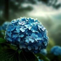 French hydrangeas bloom in soft hues, creating a dreamy garden setting ,AI Generated photo