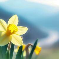 Jonquils disfrutar en el dorado rayos, radiante calor y alegría ,ai generado foto