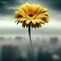 A close-up of the yellow gerbera reveals its flawless and captivating petals ,AI Generated photo