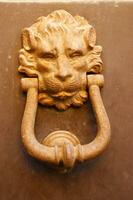 a lion head on a door handle photo