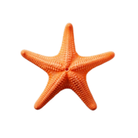 a laranja estrelas do mar em uma transparente plano de fundo,ai generativo png