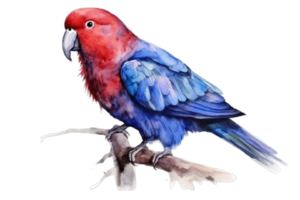 watercolor illustration of a red parrot,AI Generative png