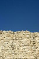 a stone wall with a large bird on it photo