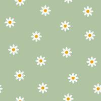 hand drawn daisy flower seamless pattern vector, simple cute flower background vector