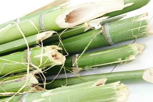 a bunch of bamboo sticks tied together with twine photo