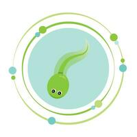 xenopus laevis garra rana vector ilustración gráfico icono símbolo